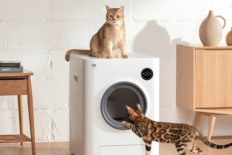 kitty litter box that cleans itself