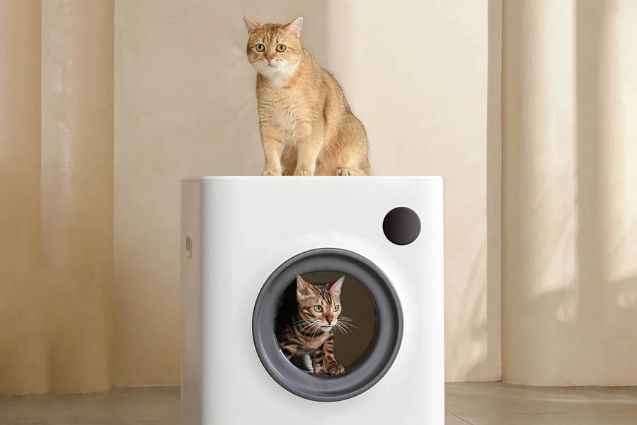 kitty litter box that cleans itself